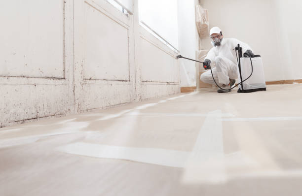 24/7 Emergency Attic Mold Remediation experts in Gore, VA